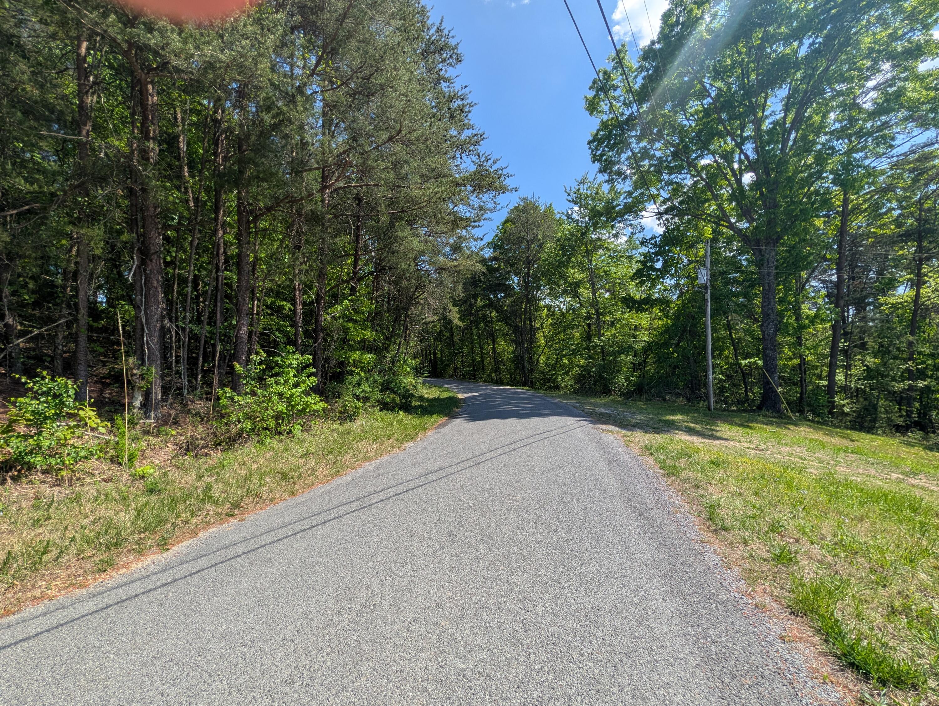 135 Garren Hart Lane Spring City, TN 37381 - Photo 10 of 20 PXL_20260417_193152928