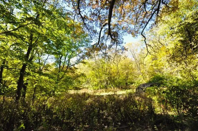 $175,000 | 710 Short Street, Streator, IL 61364