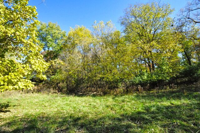 710 Short Street Streator, IL 61364 - Photo 38 of 55 a backyard of a house with lots of green space and trees all around