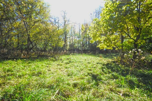 710 Short Street Streator, IL 61364 - Photo 40 of 55 a view of backyard with green space