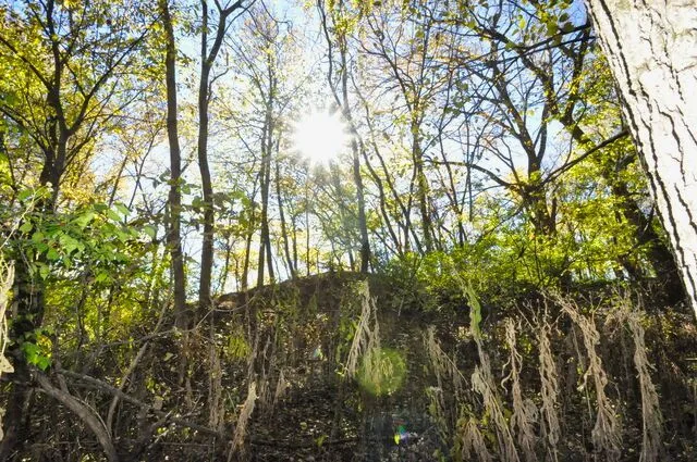 $175,000 | 710 Short Street, Streator, IL 61364