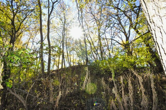 710 Short Street Streator, IL 61364 - Photo 42 of 55