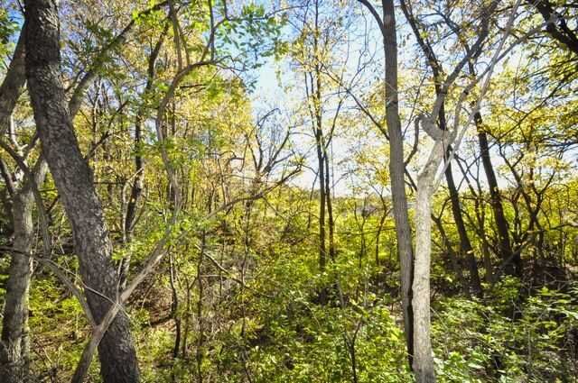 710 Short Street Streator, IL 61364 - Photo 44 of 55 a view of forest