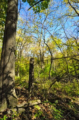 710 Short Street Streator, IL 61364 - Photo 46 of 55