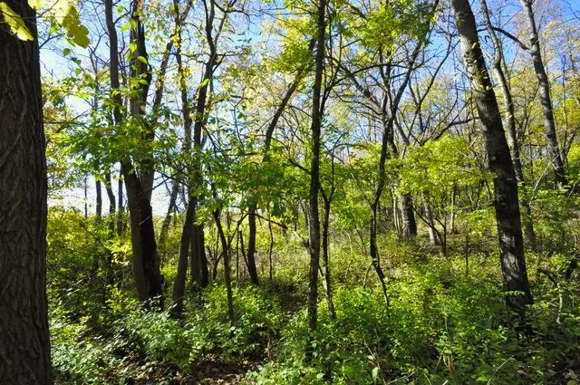 $175,000 | 710 Short Street, Streator, IL 61364