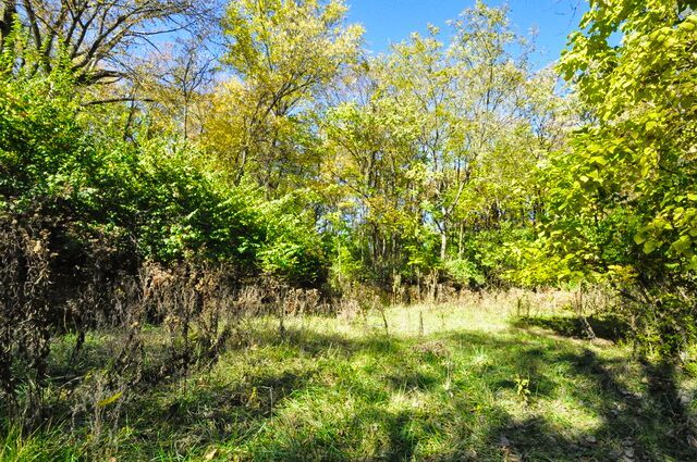 710 Short Street Streator, IL 61364 - Photo 49 of 62