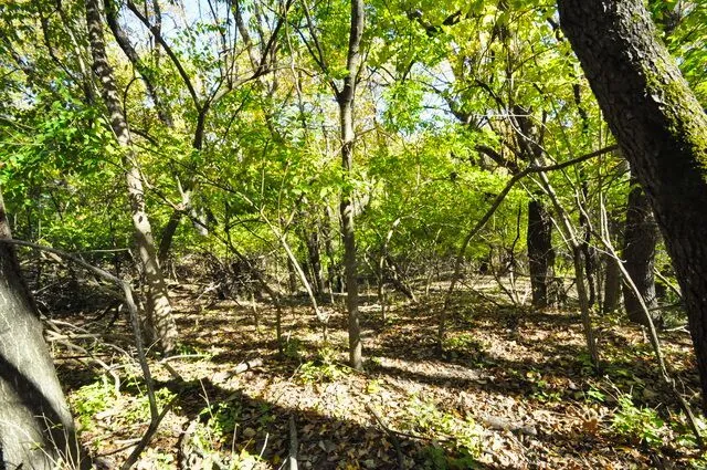 $175,000 | 710 Short Street, Streator, IL 61364