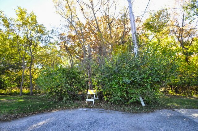 710 Short Street Streator, IL 61364 - Photo 51 of 55 a view of a forest with trees in the background