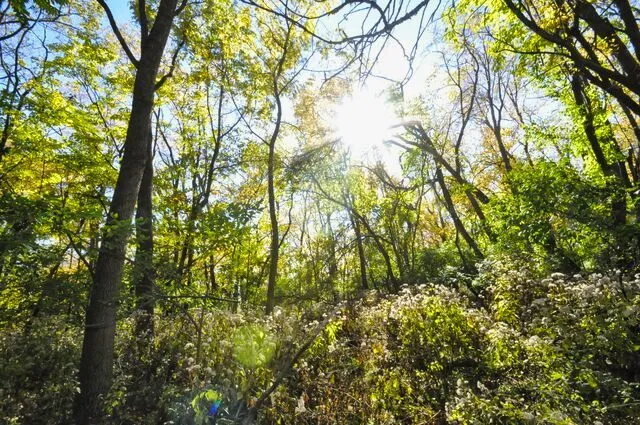 $175,000 | 710 Short Street, Streator, IL 61364