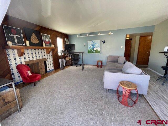 251 Gothic Road, Unit 3 Crested Butte, CO 81225 - Photo 5 of 31 looking at hall to bedrooms and entry