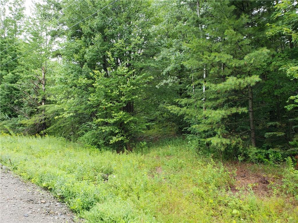 0 Parkman Road Garland, ME 04939 - Photo 5 of 6 Photo