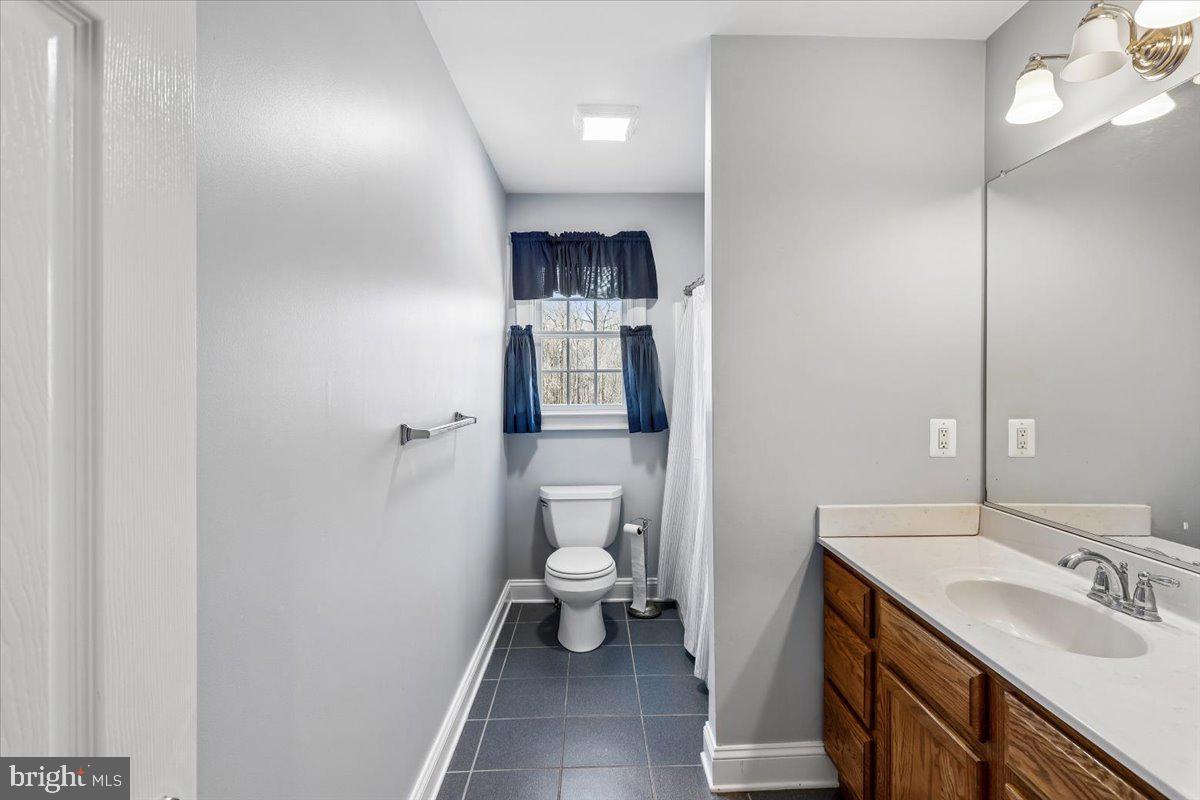 496 Leisters Church Road Westminster, MD 21157 - Photo 66 of 118 a bathroom with a sink a toilet and shower