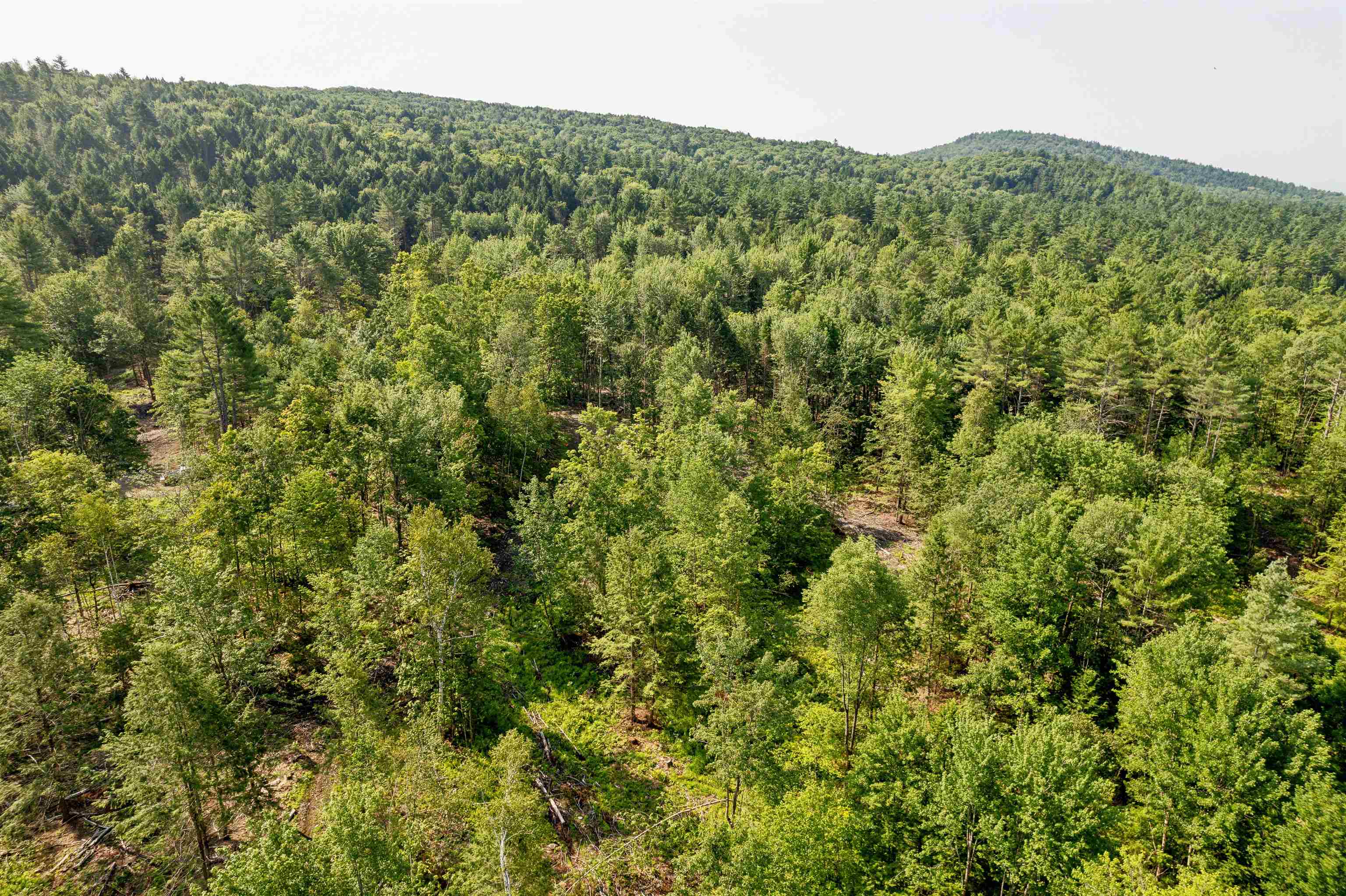 0 Court Street, Unit 2 Haverhill, NH 03765 - Photo 6 of 9