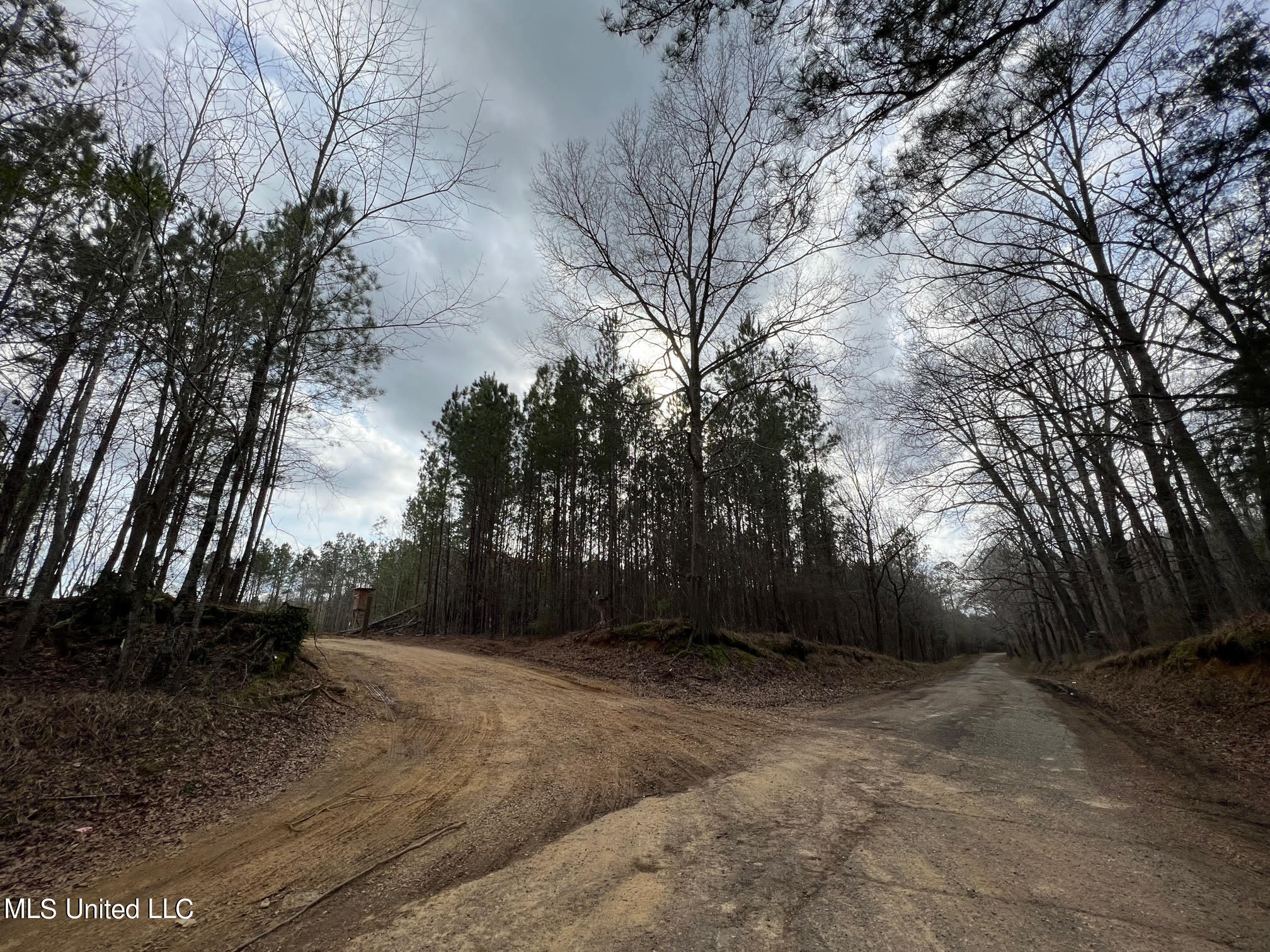 2 Midway Road Wesson, MS 39191 - Photo 2 of 11 38