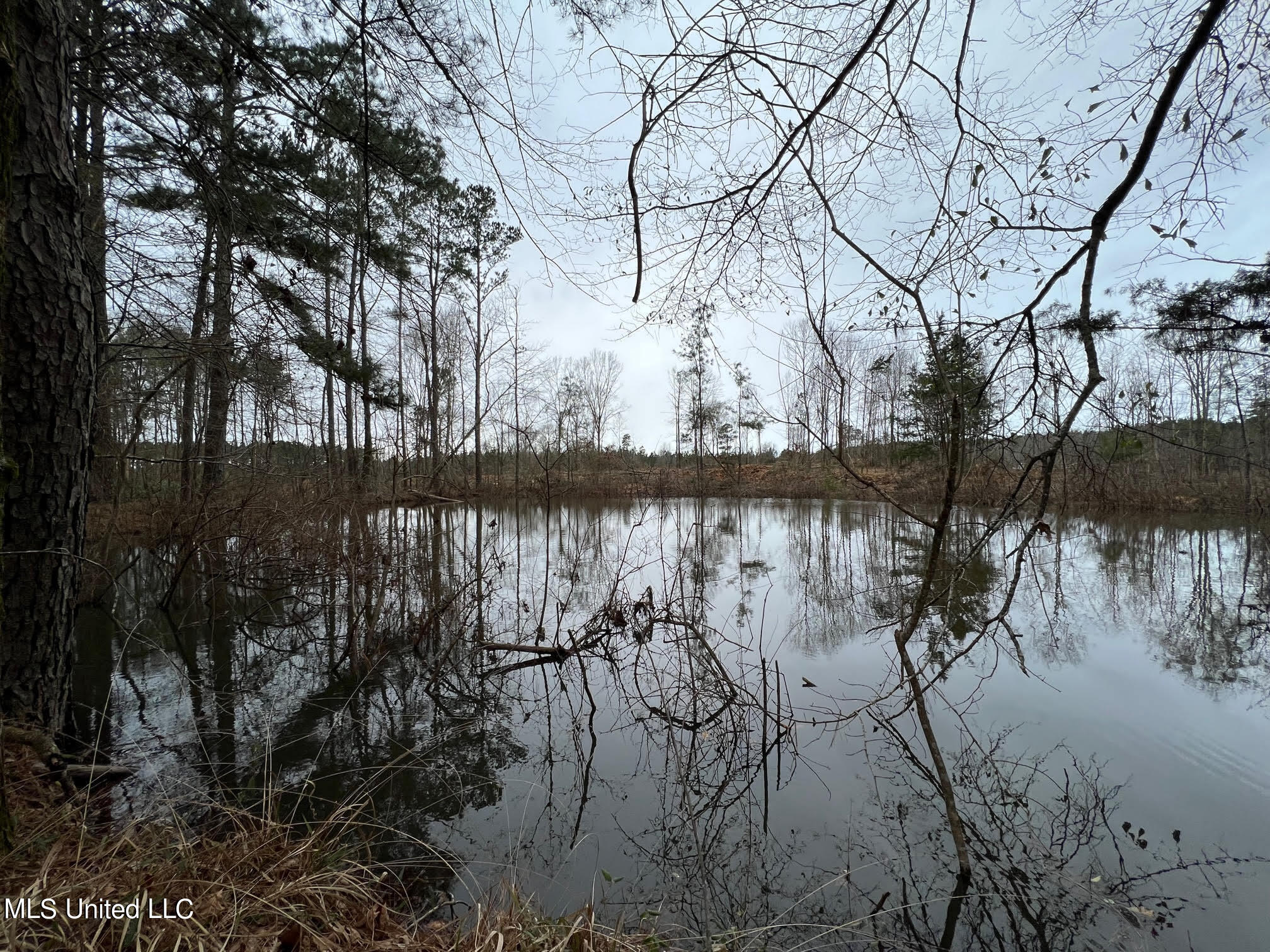 2 Midway Road Wesson, MS 39191 - Photo 6 of 11 44