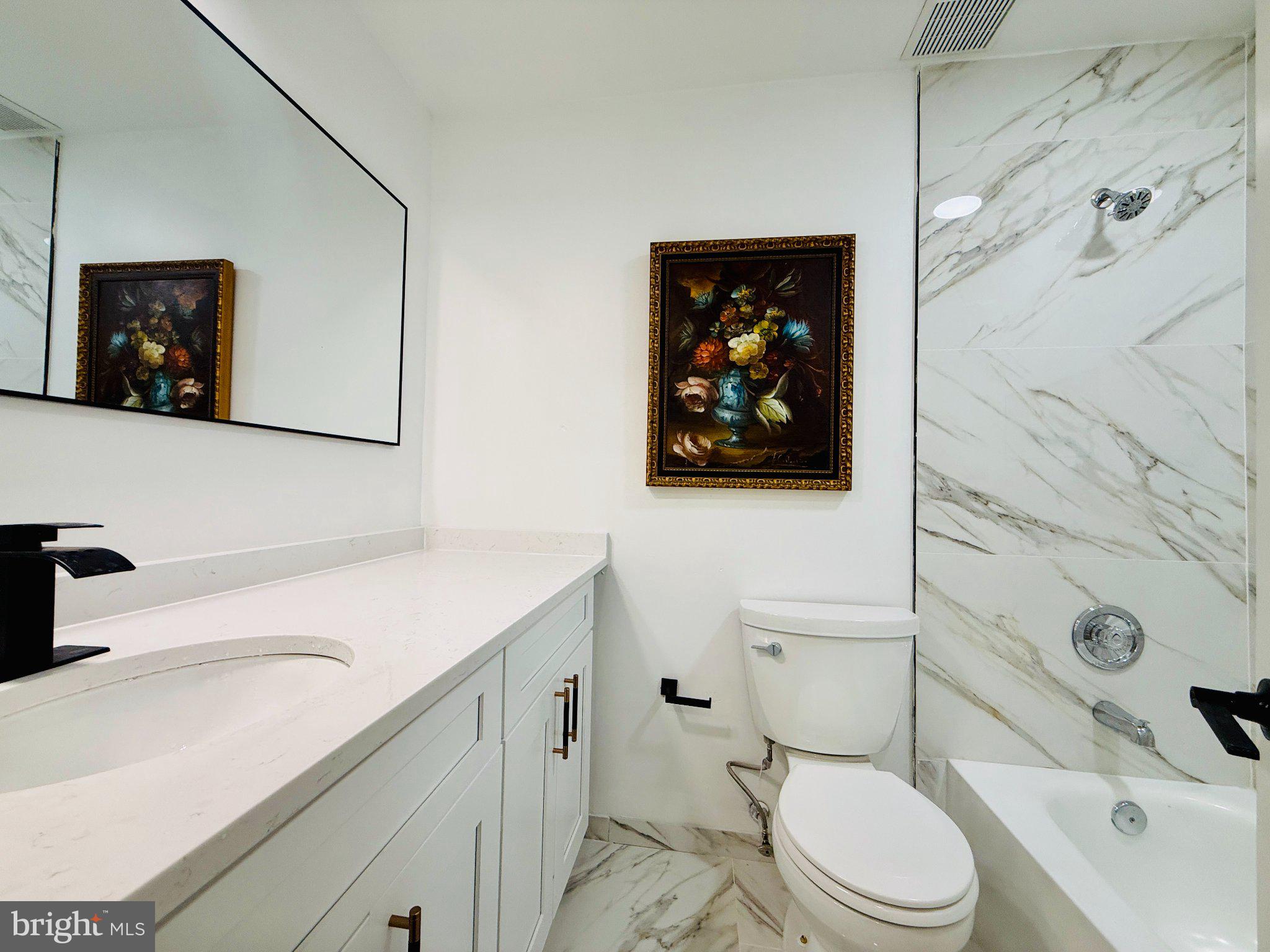 815 Whitehall Street Silver Spring, MD 20901 - Photo 19 of 39 Elegant bathroom with artistic flair.