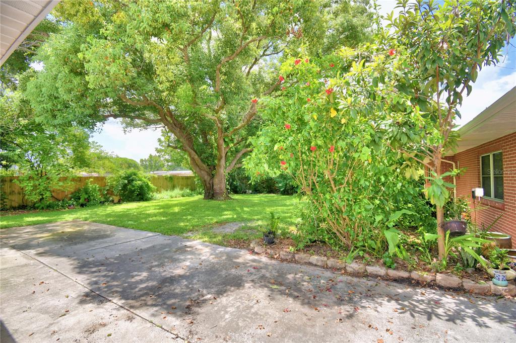 1475 Lake Howard Drive Southwest Winter Haven, FL 33880 - Photo 22 of 25 a view of a yard with plants and trees
