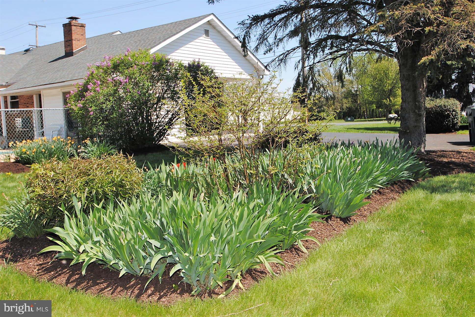 355 Maloney Road Elkton, MD 21921 - Photo 20 of 26 Beautiful perennial gardens everywhere!