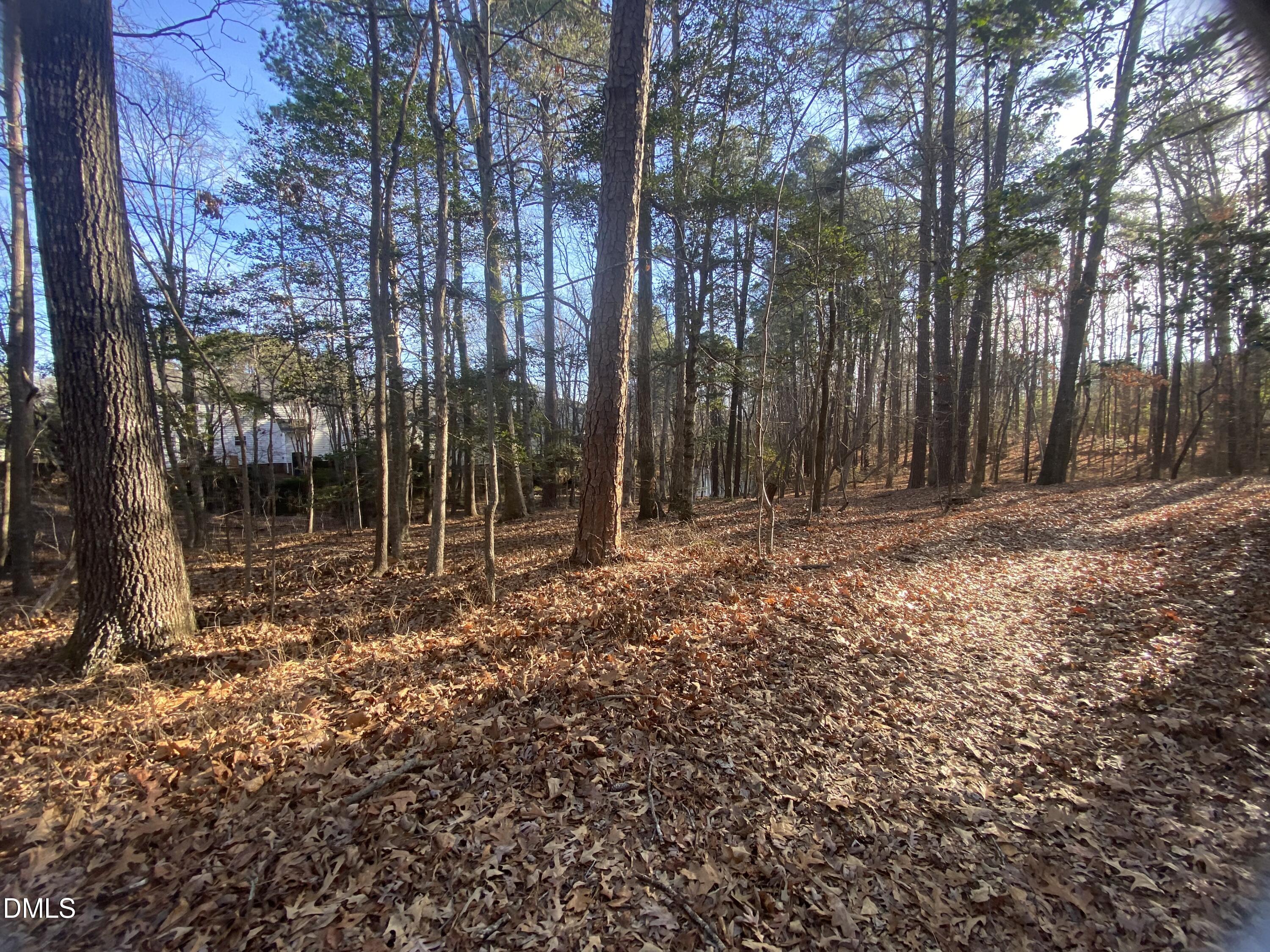 5301 Shadow Valley Road Holly Springs, NC 27540 - Photo 6 of 10 a backyard of a house with lots of green space