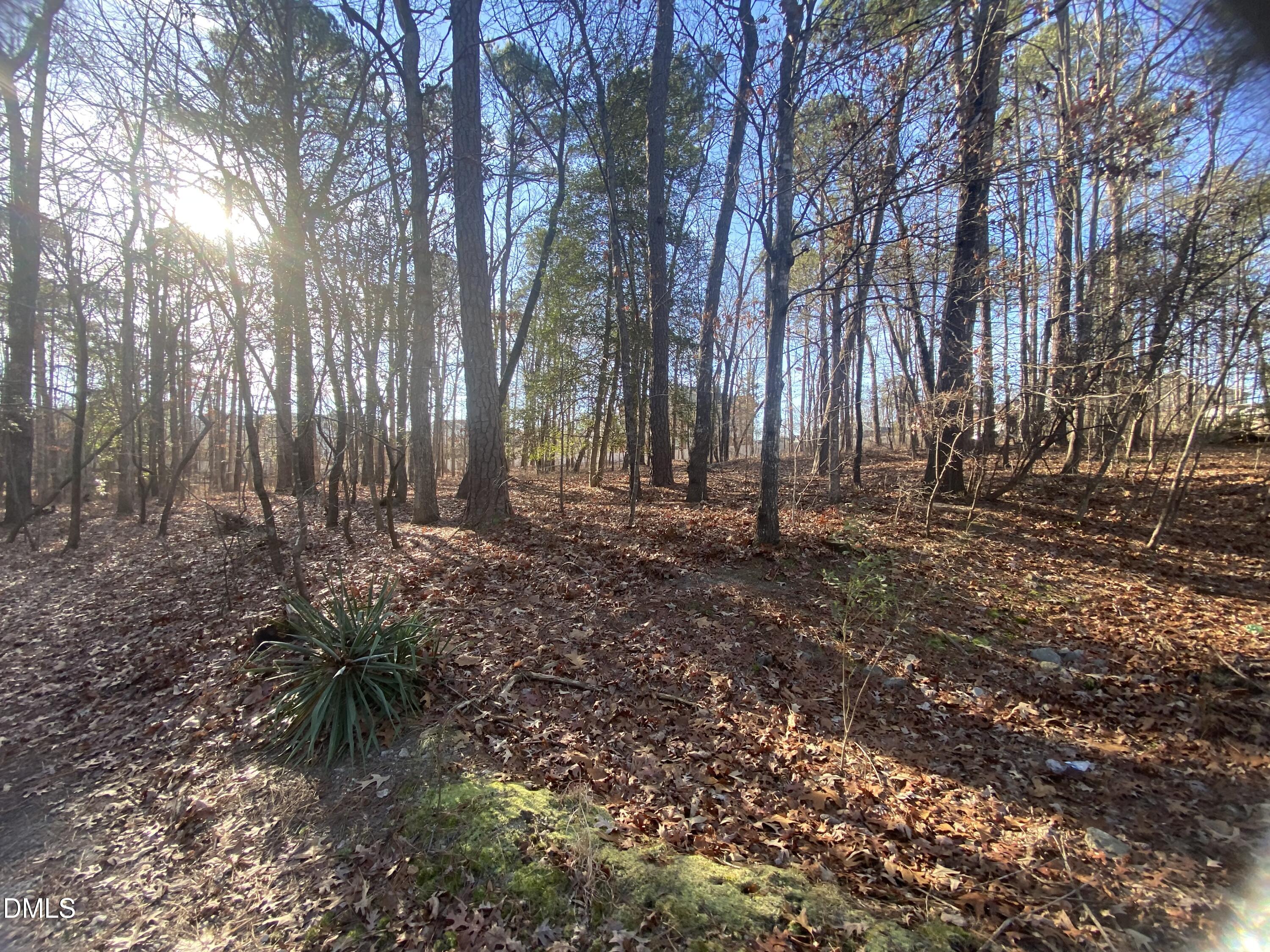 5301 Shadow Valley Road Holly Springs, NC 27540 - Photo 8 of 10 a view of backyard with tree