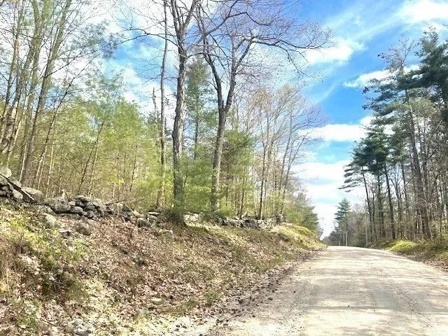 a view of yard with trees
