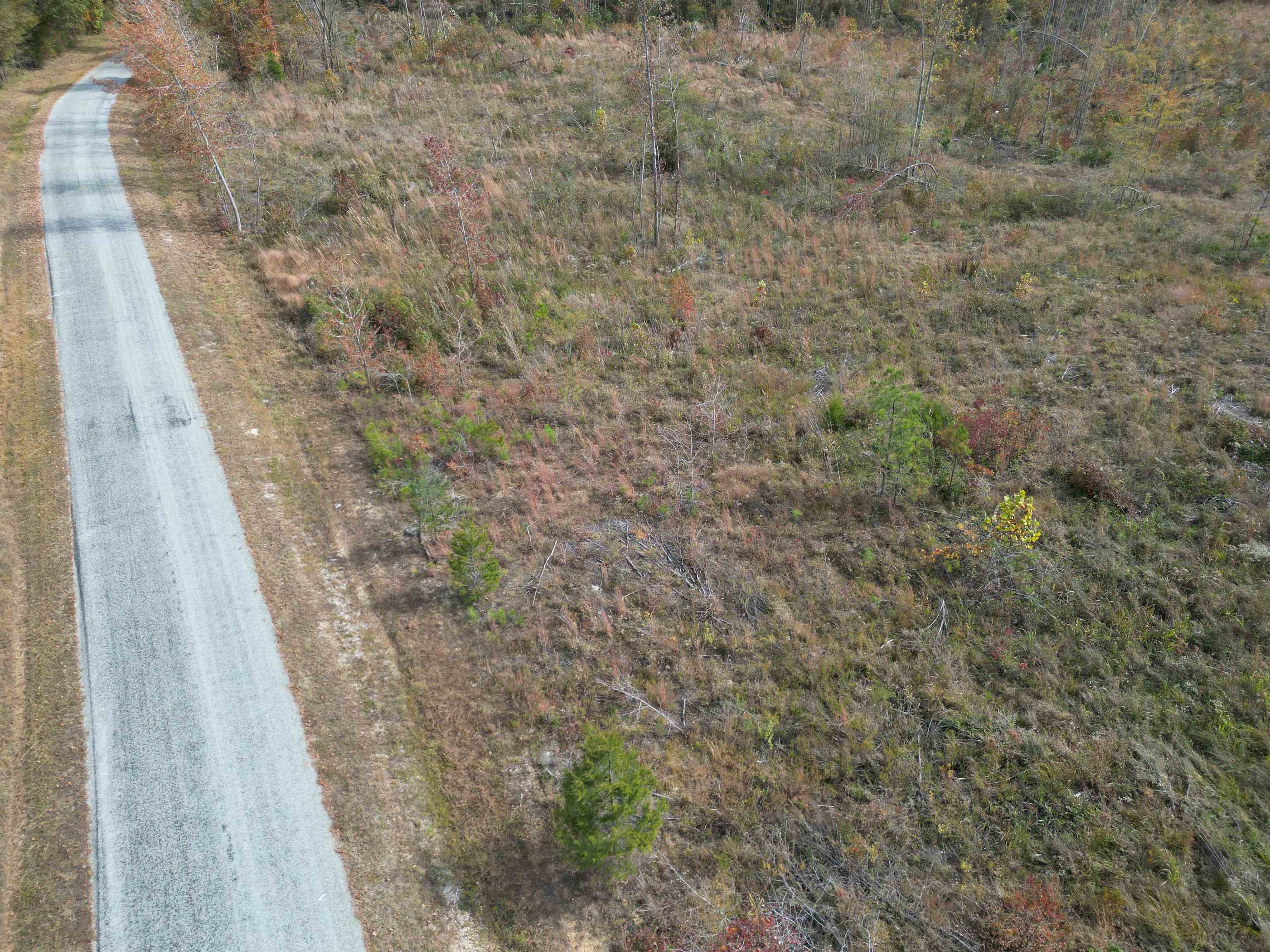 Tract 9 Carnal Road Huntingdon, TN 38344 - Photo 1 of 12 a balcony with a dry yard