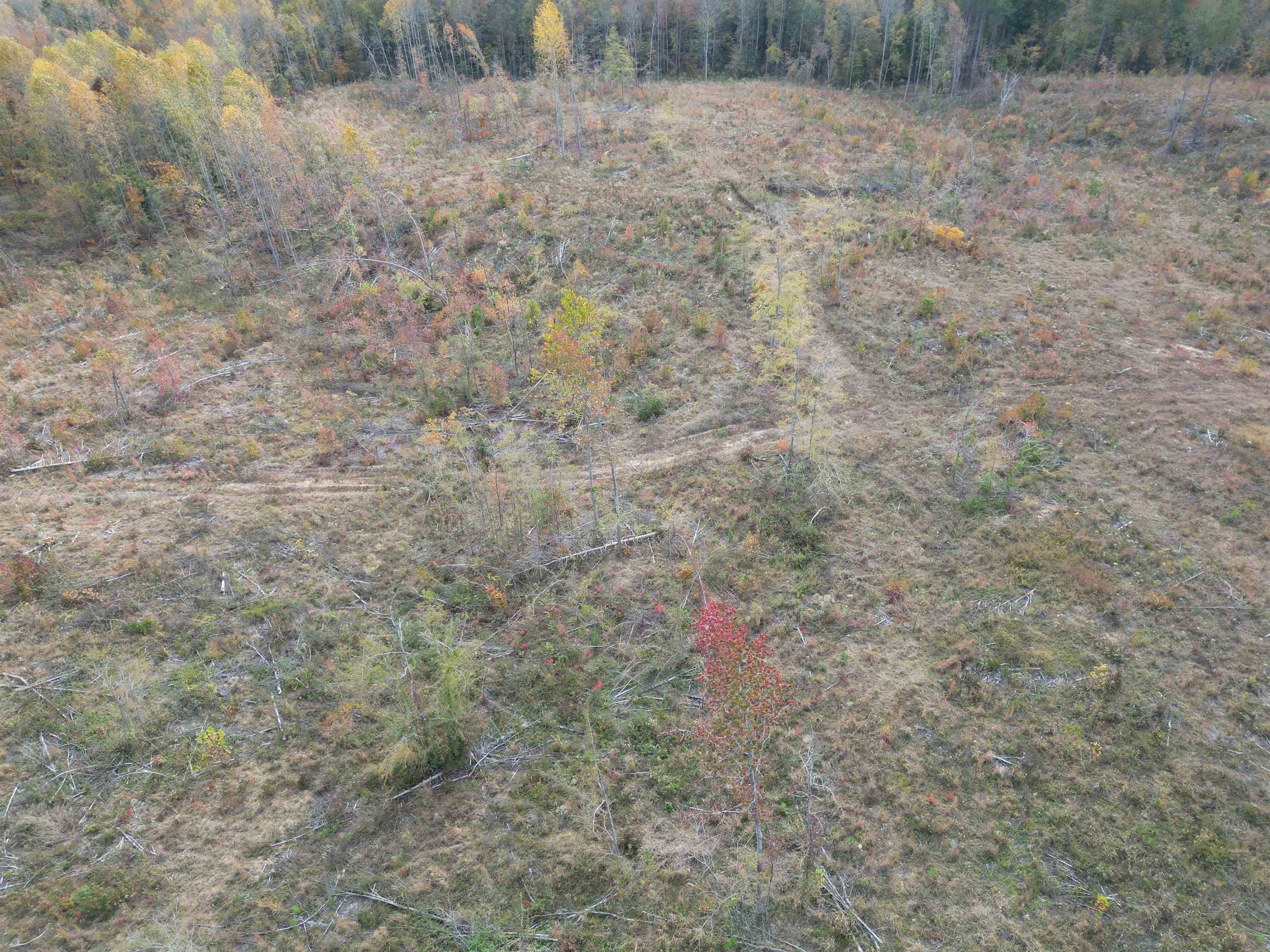 Tract 9 Carnal Road Huntingdon, TN 38344 - Photo 12 of 12 a backyard of a house