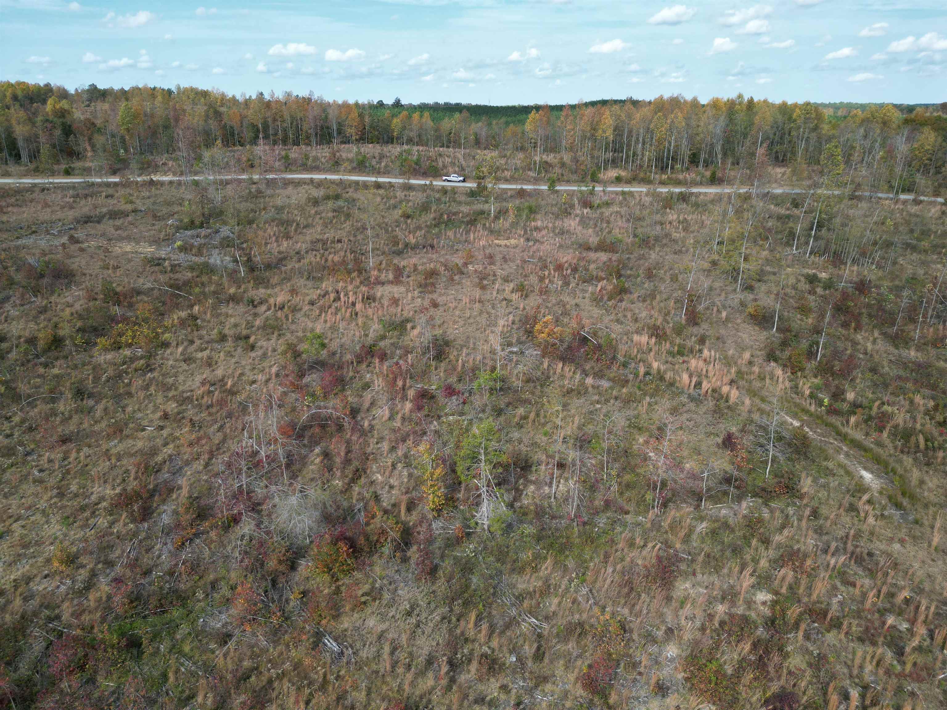 Tract 9 Carnal Road Huntingdon, TN 38344 - Photo 2 of 12 a view of a field with trees in background