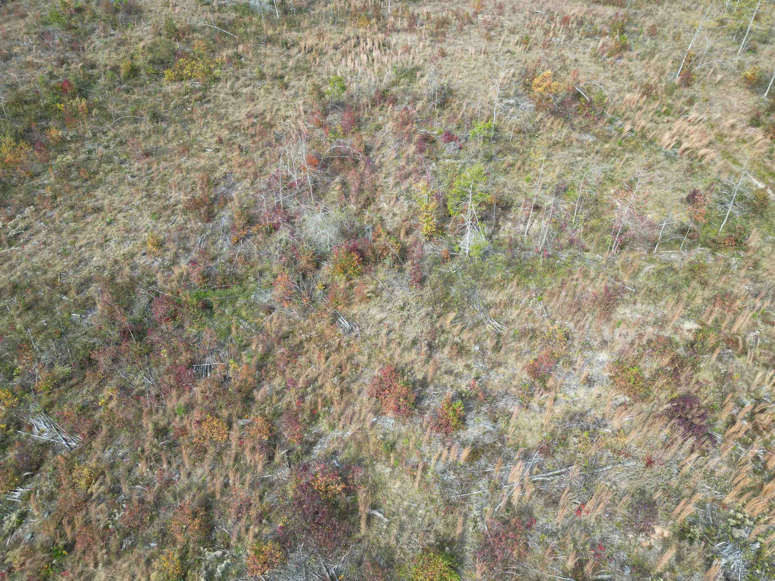 Tract 9 Carnal Road Huntingdon, TN 38344 - Photo 7 of 12 a close up of a wall