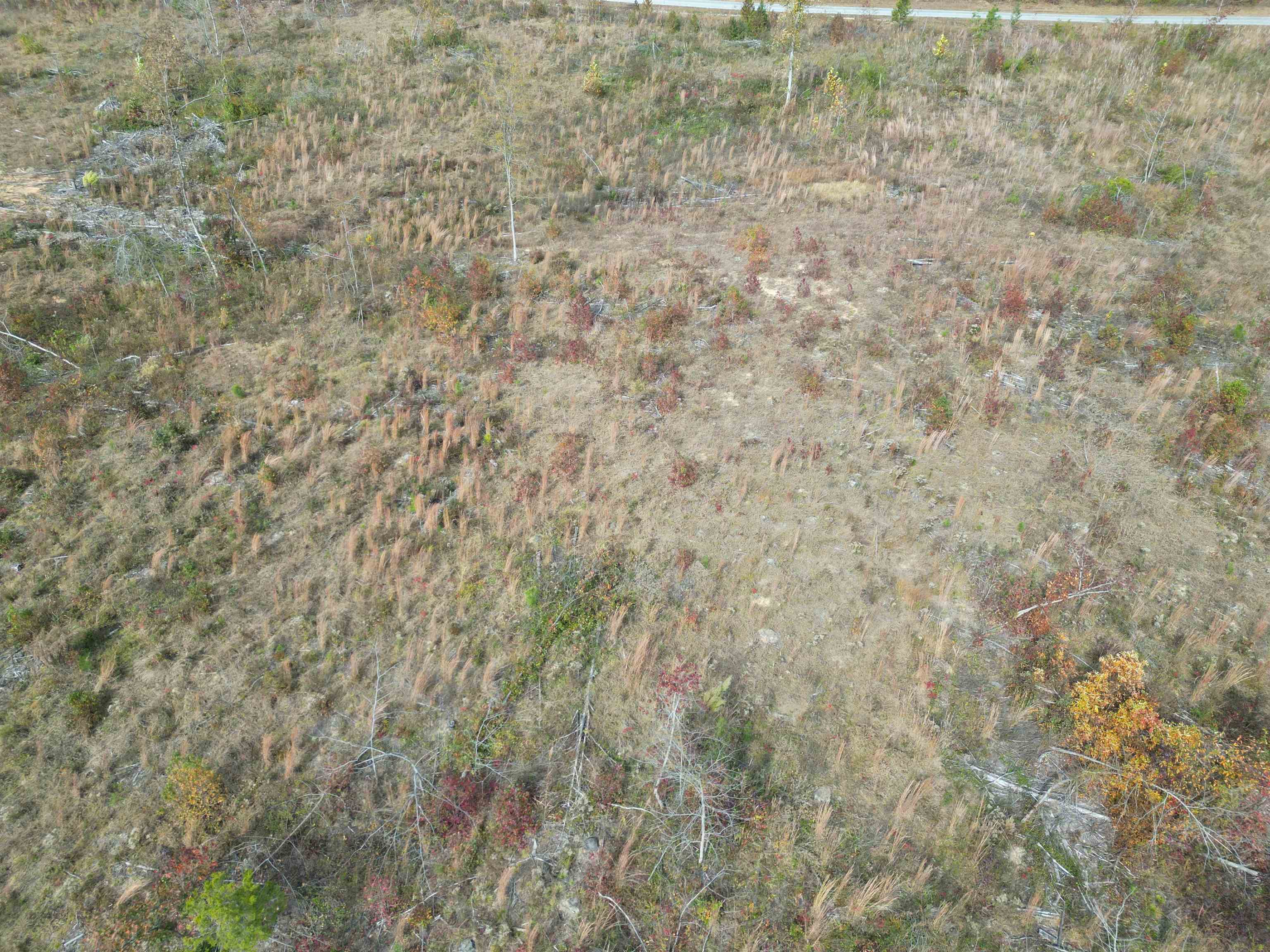 Tract 9 Carnal Road Huntingdon, TN 38344 - Photo 8 of 12 a close up of a wall with a dry yard