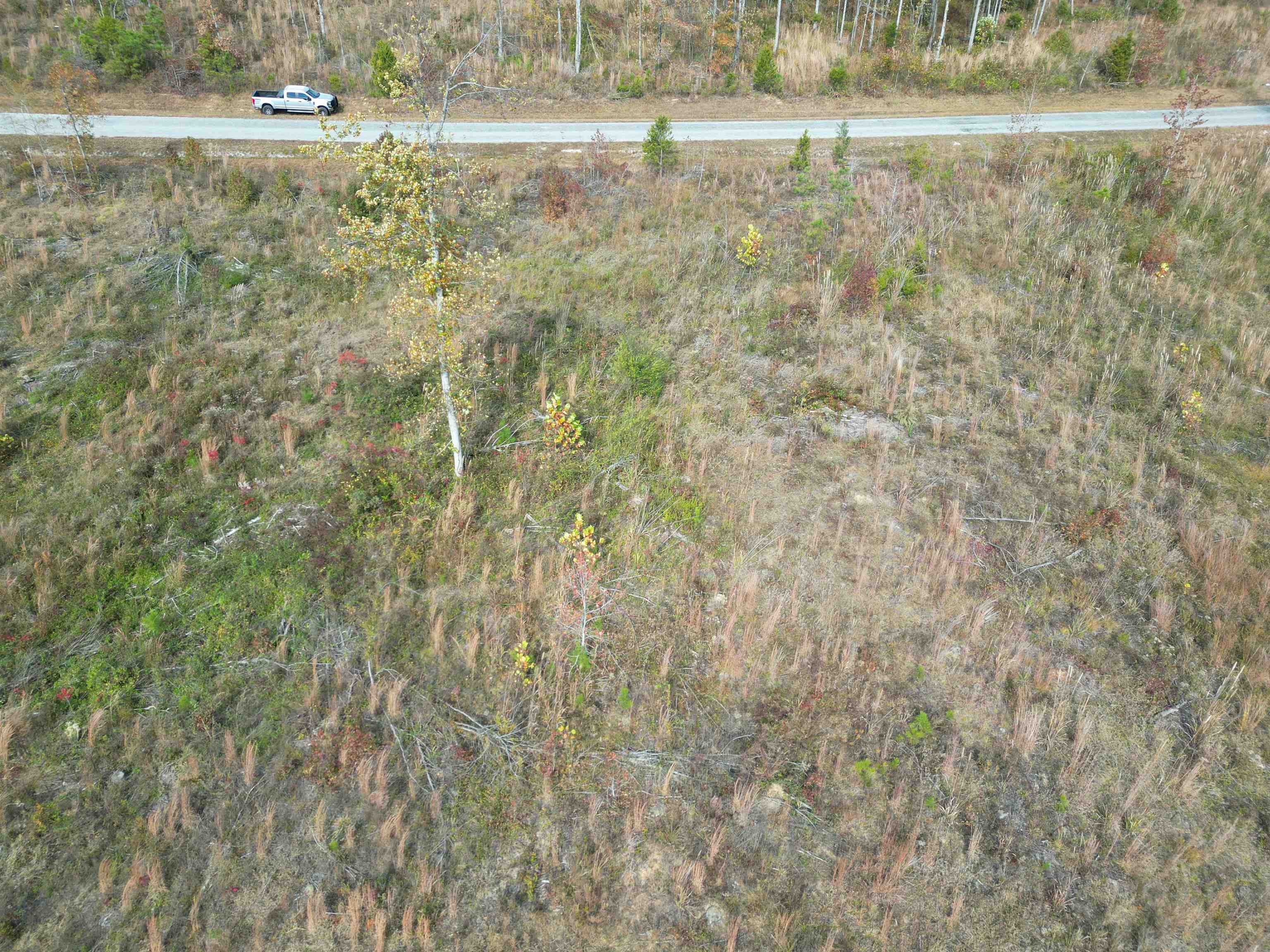 Tract 9 Carnal Road Huntingdon, TN 38344 - Photo 9 of 12