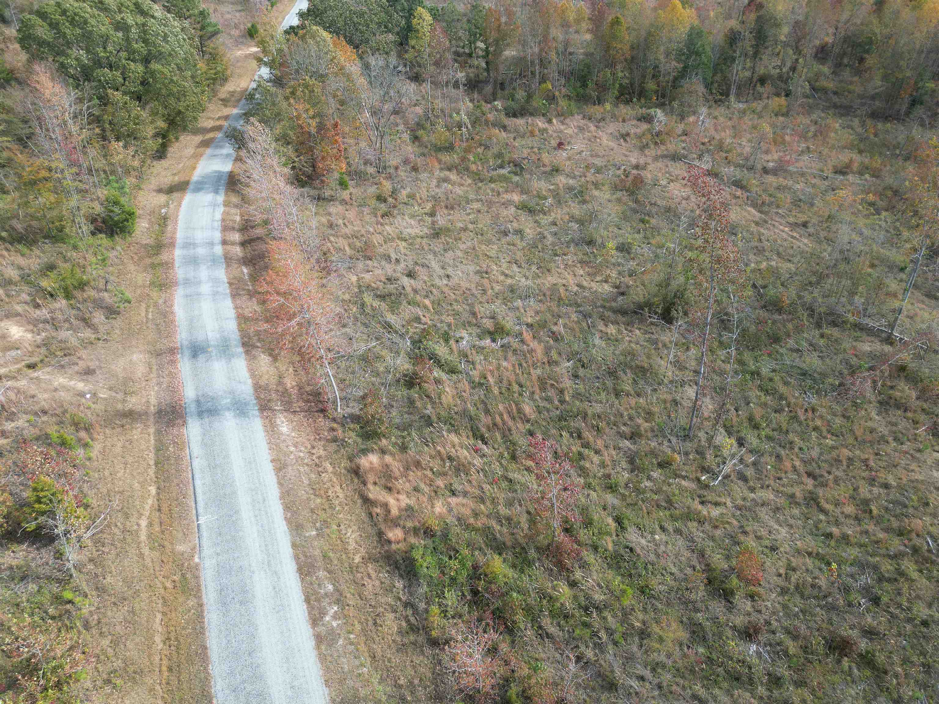 Tract 9 Carnal Road Huntingdon, TN 38344 - Photo 10 of 12 a view of a yard