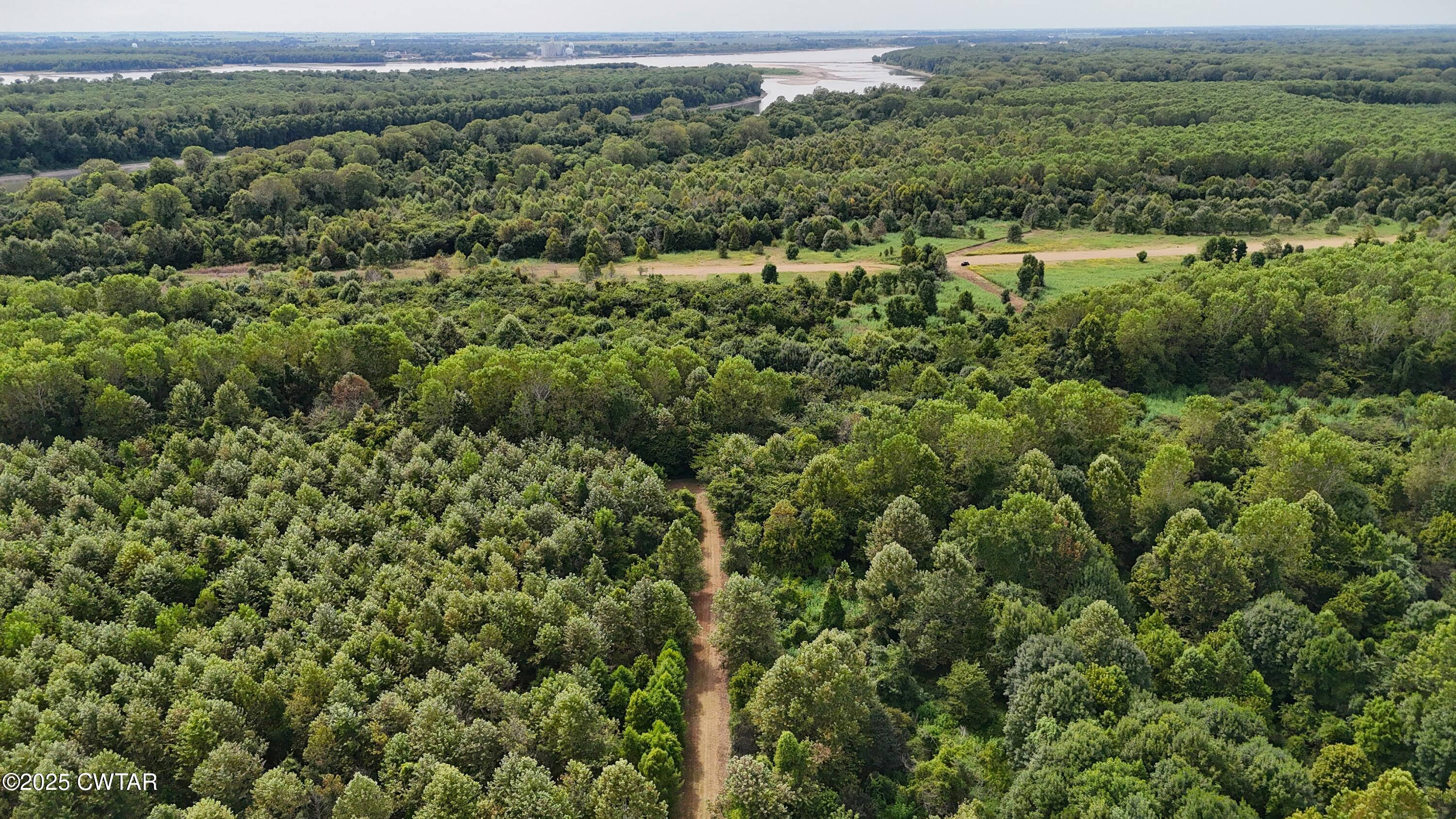 0 Hickory Ridge Road Ridgely, TN 38080 - Photo 11 of 37 DJI_20250827145509_0052_D