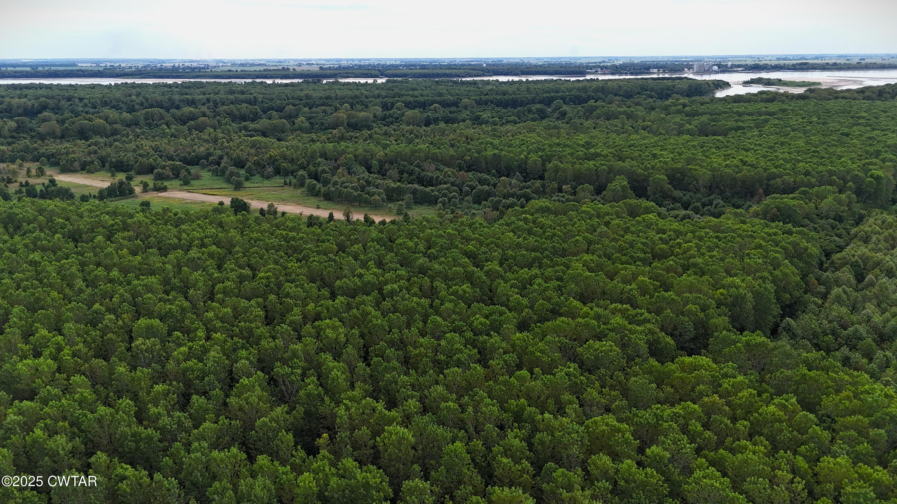 0 Hickory Ridge Road Ridgely, TN 38080 - Photo 23 of 37 DJI_20250827151846_0071_D