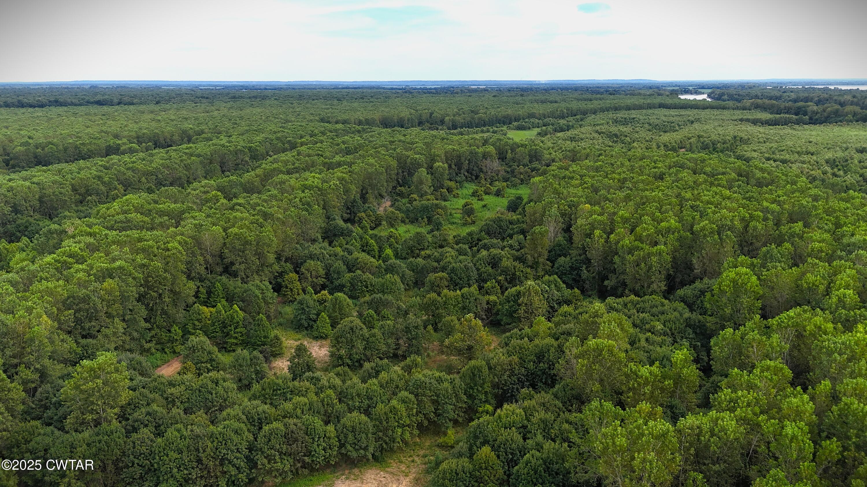 0 Hickory Ridge Road Ridgely, TN 38080 - Photo 27 of 37 DJI_20250827152522_0002_D