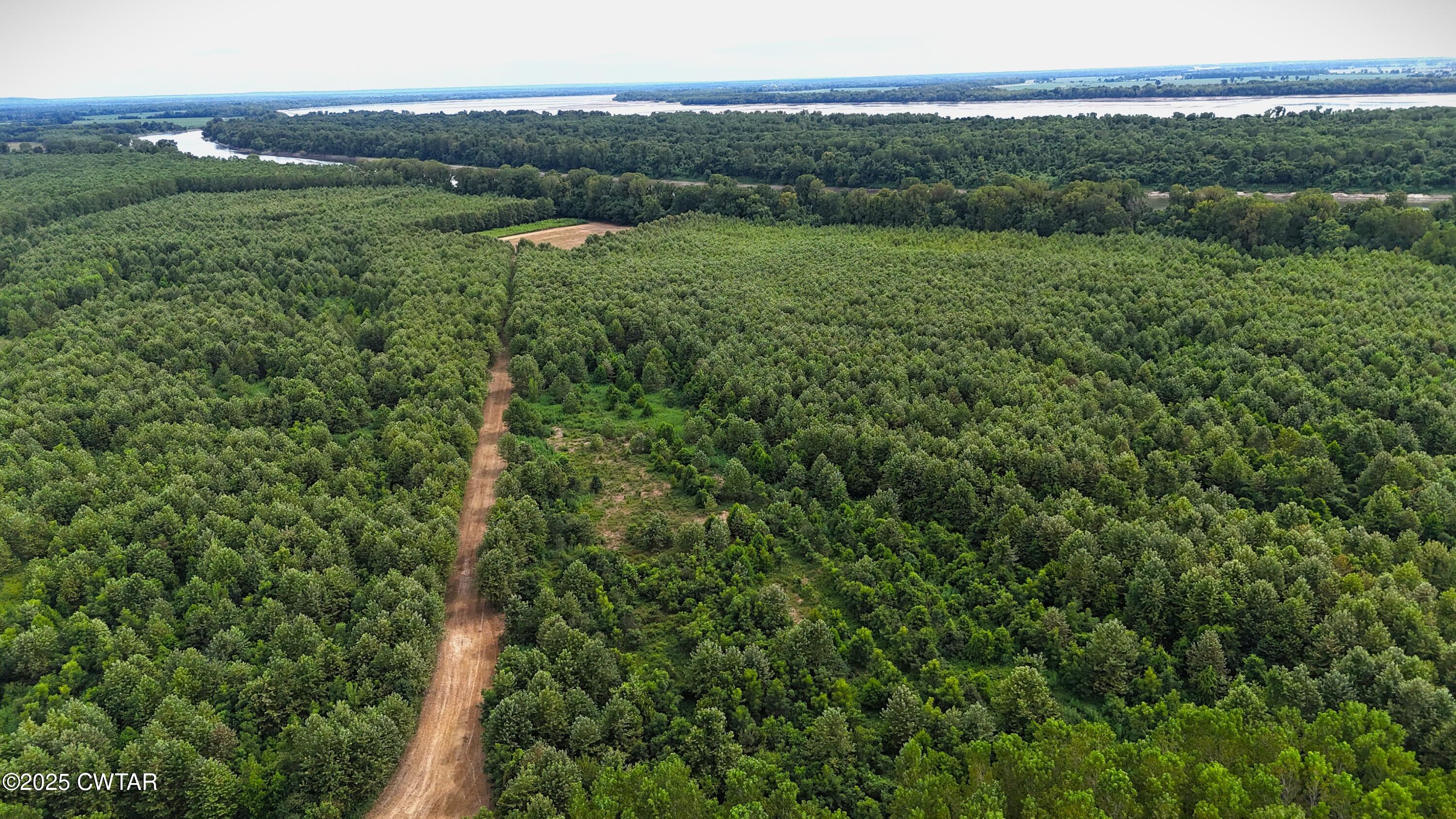 0 Hickory Ridge Road Ridgely, TN 38080 - Photo 30 of 37 DJI_20250827152637_0005_D