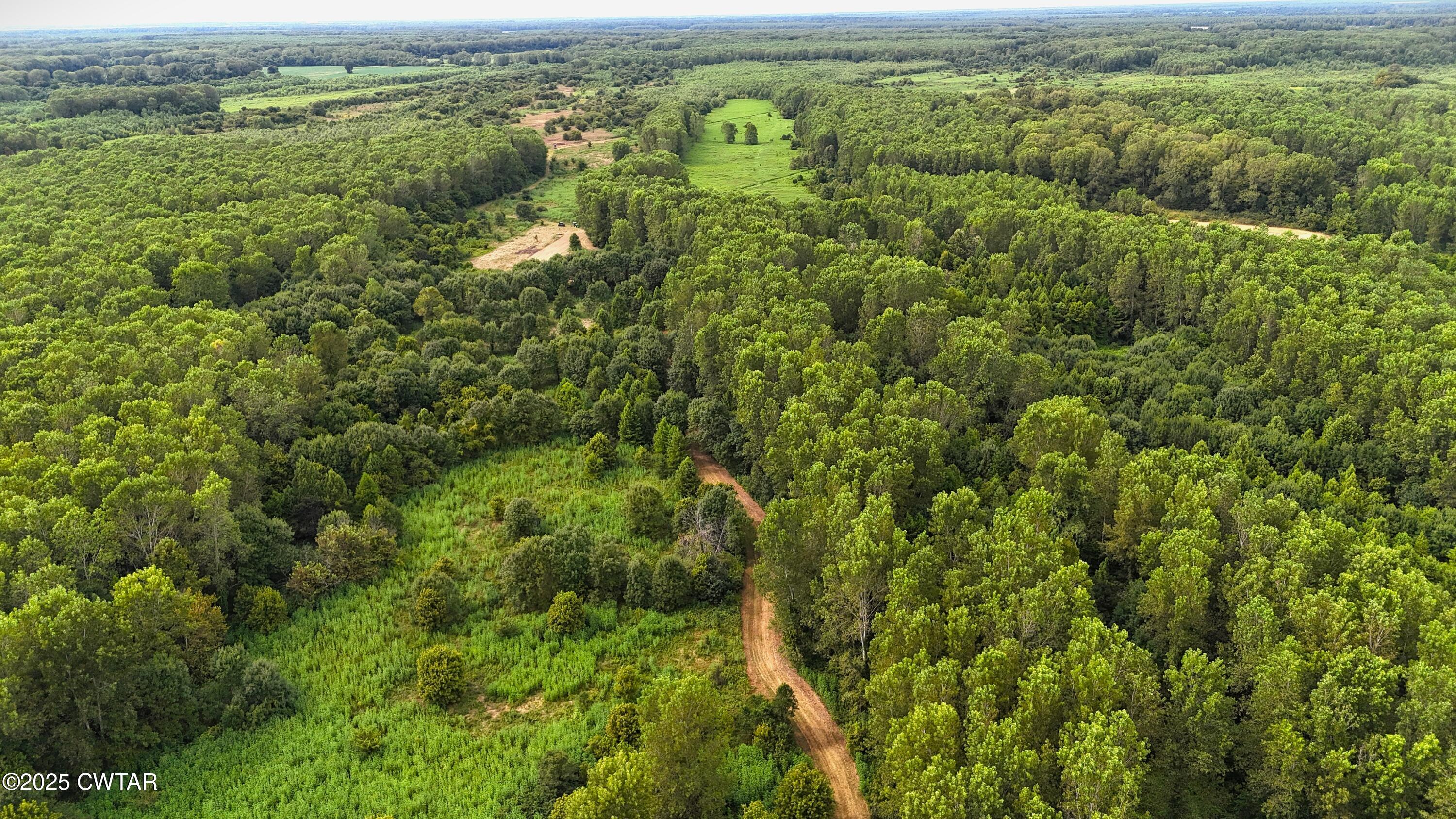 0 Hickory Ridge Road Ridgely, TN 38080 - Photo 32 of 37 DJI_20250827152757_0008_D