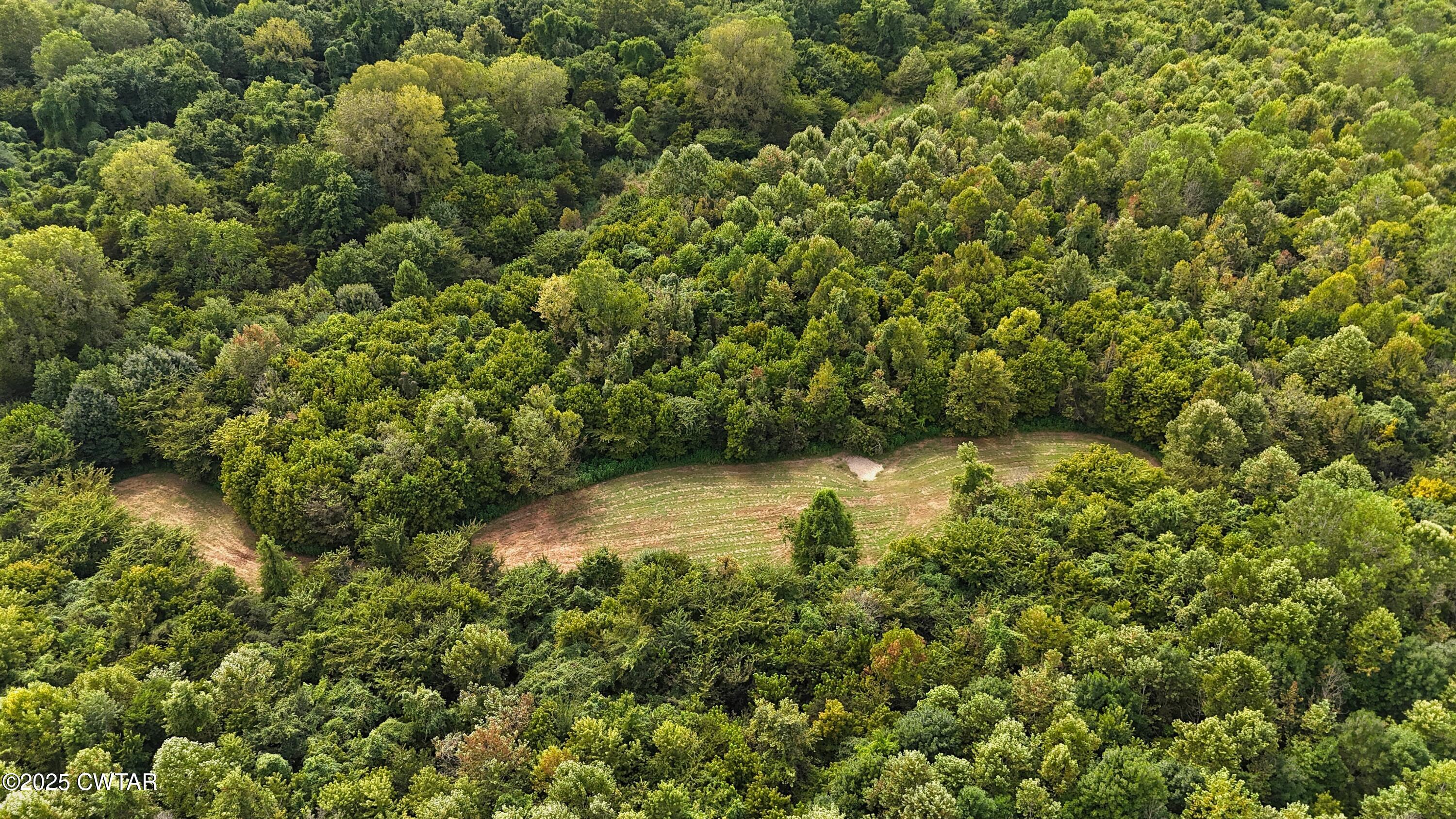 0 Hickory Ridge Road Ridgely, TN 38080 - Photo 5 of 37 DJI_20250827145003_0044_D