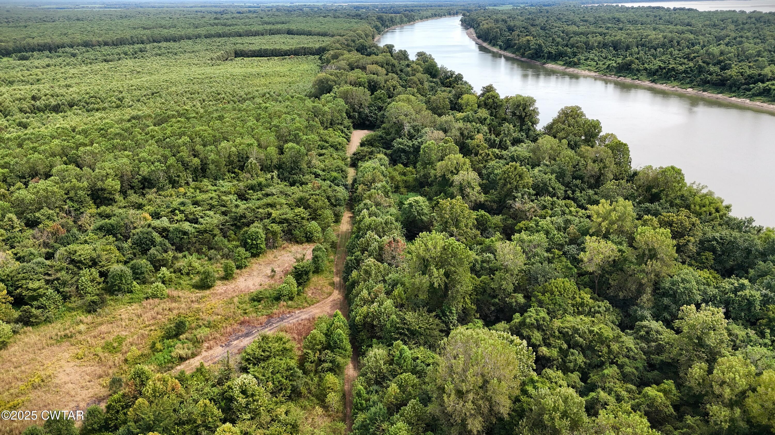 0 Hickory Ridge Road Ridgely, TN 38080 - Photo 9 of 37 DJI_20250827145127_0048_D
