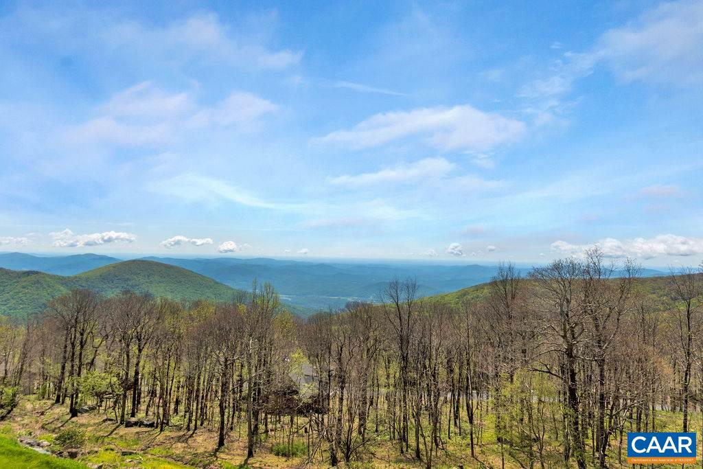 1805 High Ridge Roseland, VA 22967 - Photo 21 of 34 Gallery Image 21
