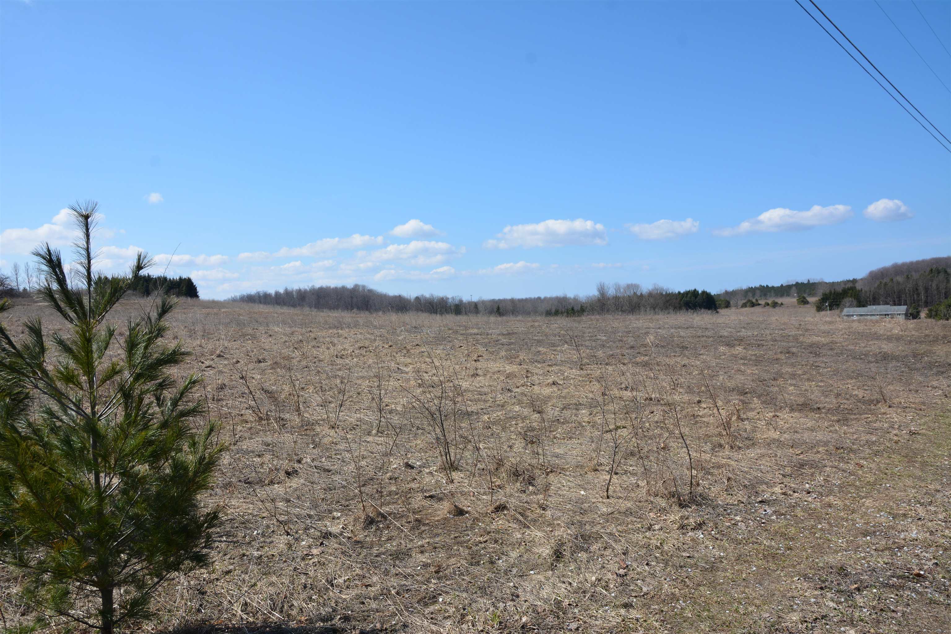0 East Hohnke Road Cedar, MI 49621 - Photo 15 of 17