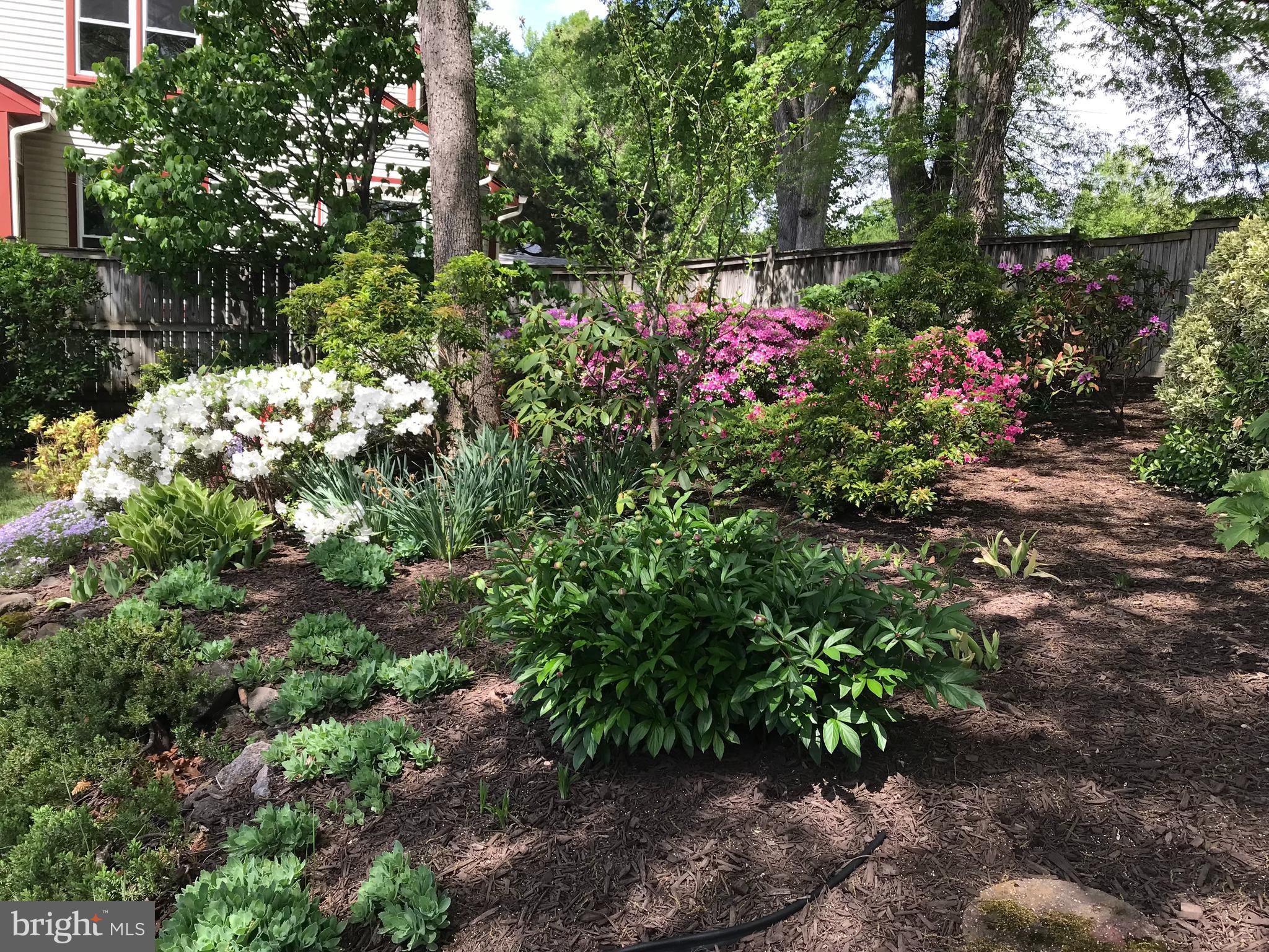 6730 Anders Terrace Springfield, VA 22151 - Photo 32 of 38 Landscaped backyard