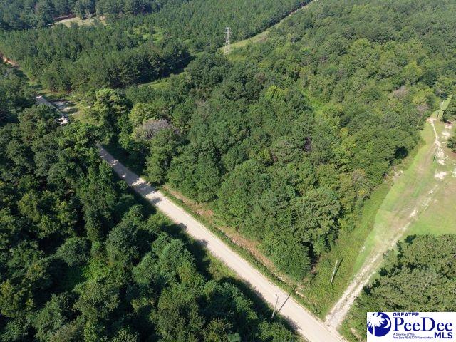 1433 Clyde School Road McBee, SC 29101 - Photo 11 of 16 Gallery Image 11