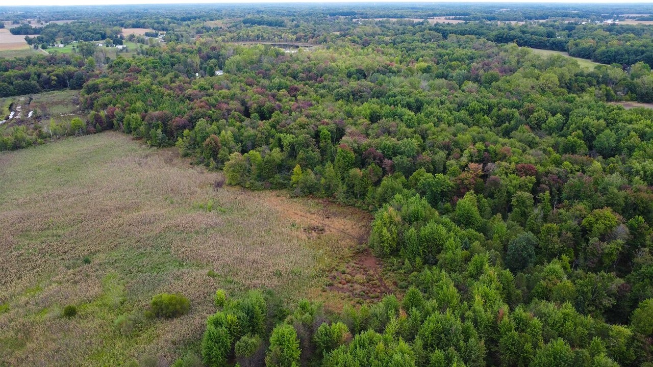 Vl Mcclure Road Eaton Rapids, MI 48827 - Photo 65 of 72