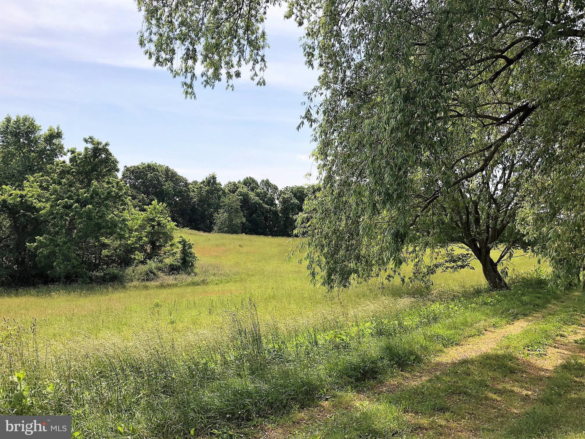 Ross Road St. Leonard, MD 20685 - Photo 1 of 5
