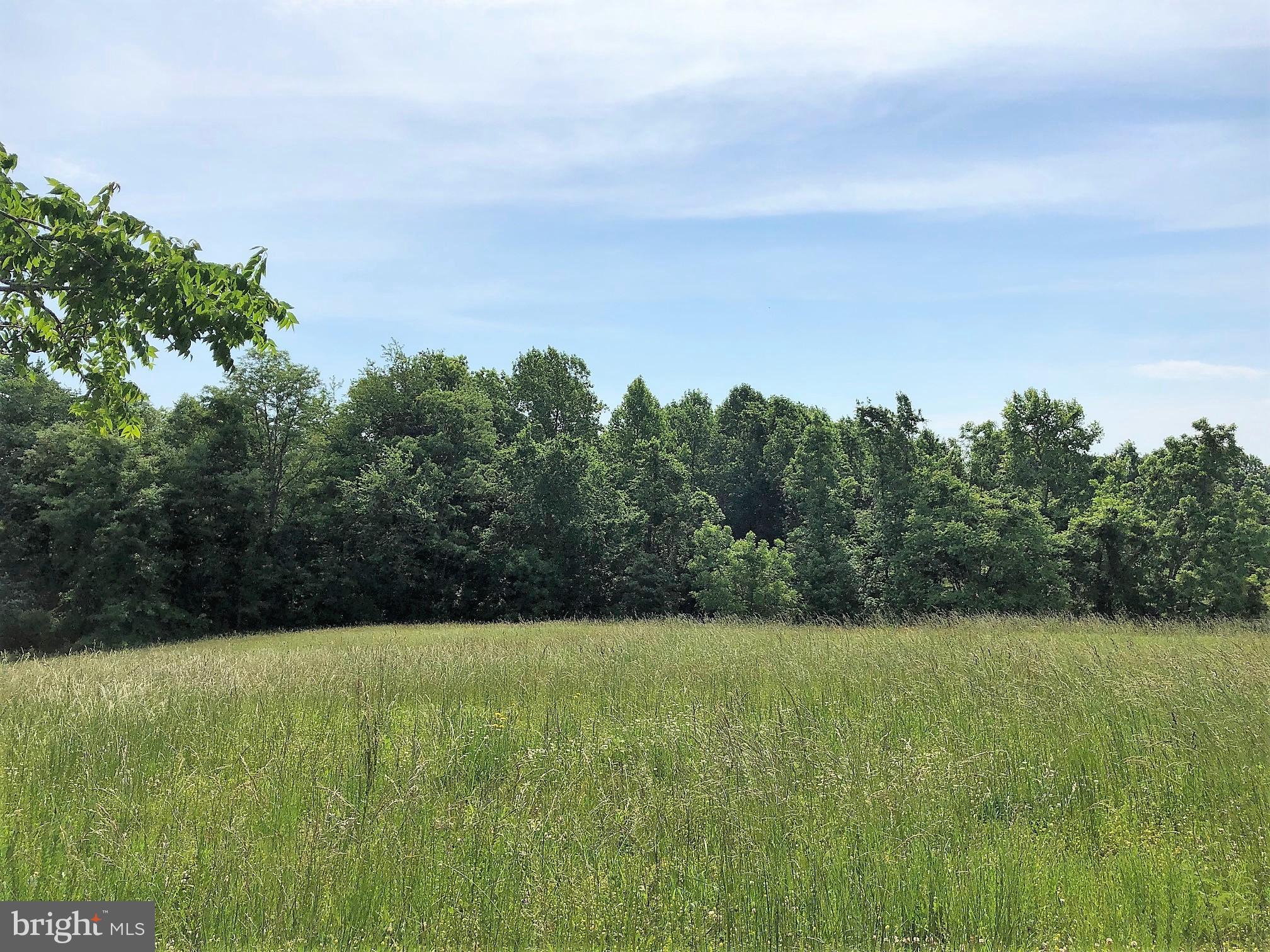 Ross Road St. Leonard, MD 20685 - Photo 3 of 5