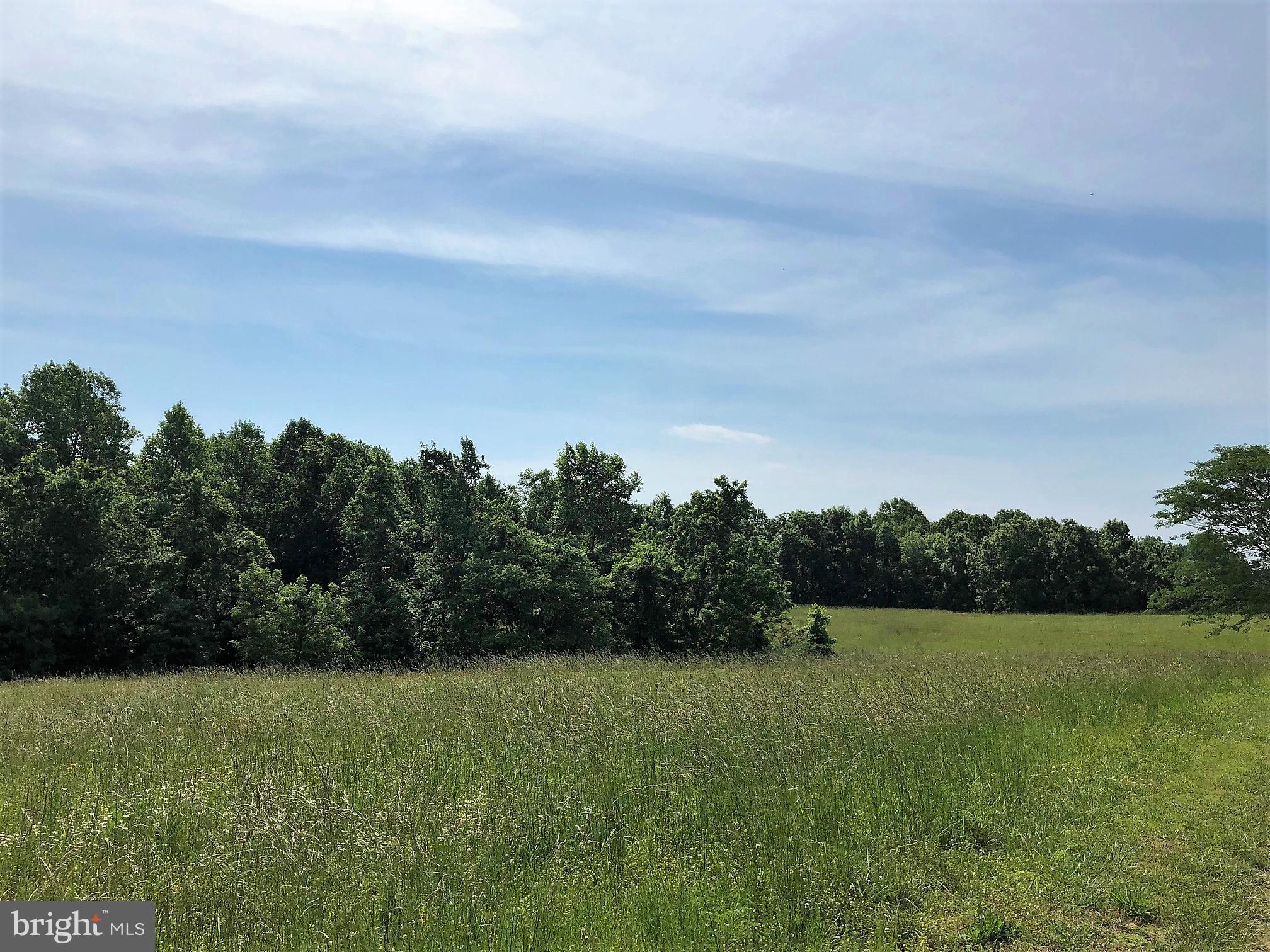 Ross Road St. Leonard, MD 20685 - Photo 4 of 5