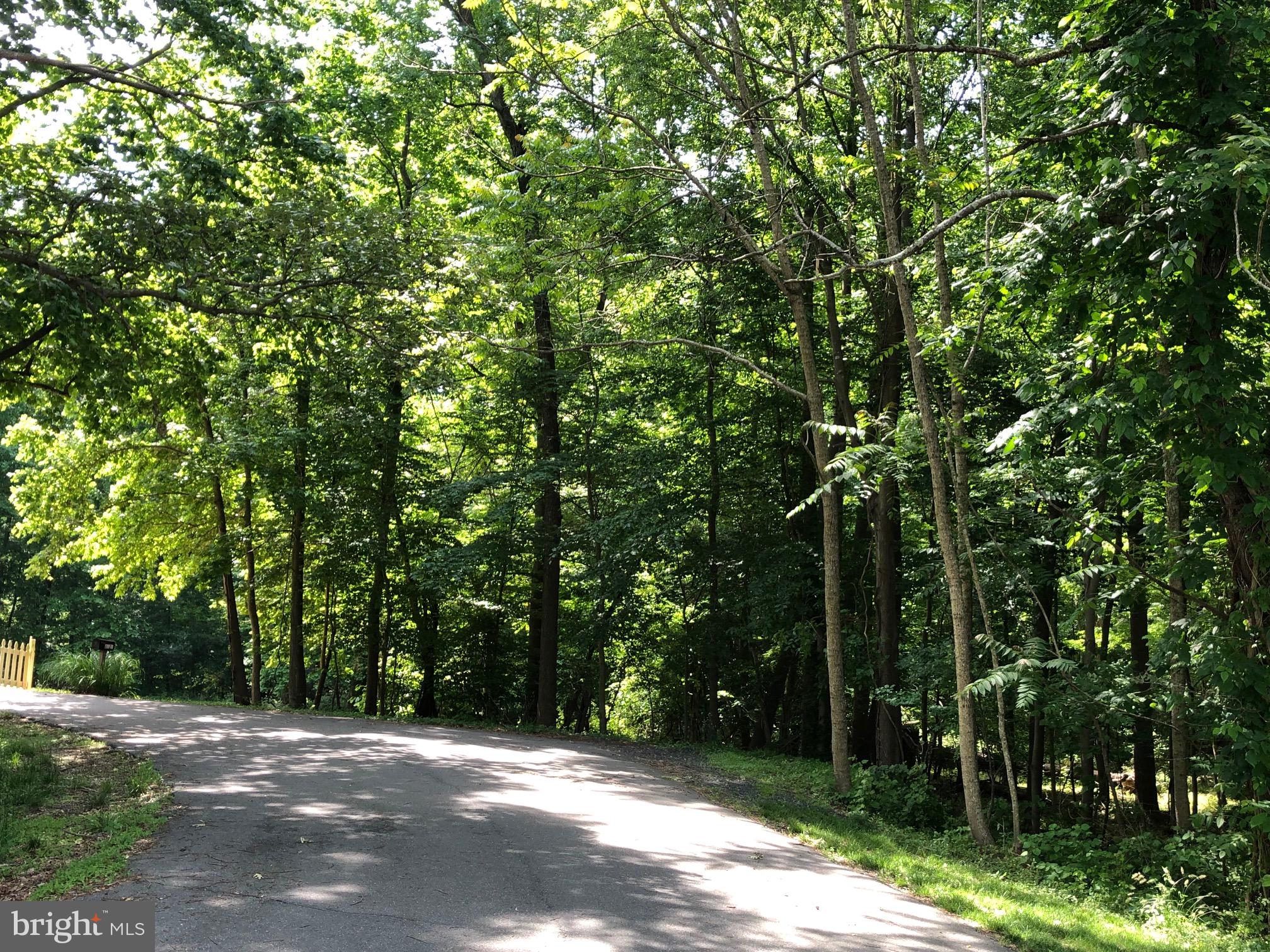 Ross Road St. Leonard, MD 20685 - Photo 5 of 5