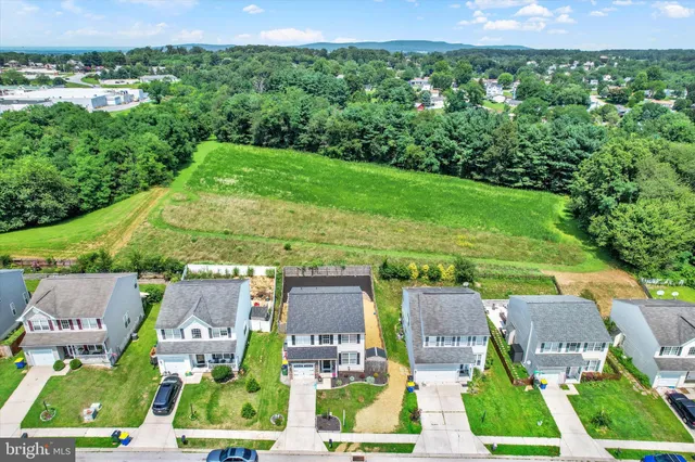 a view of a swimming pool with a outdoor seating and plants