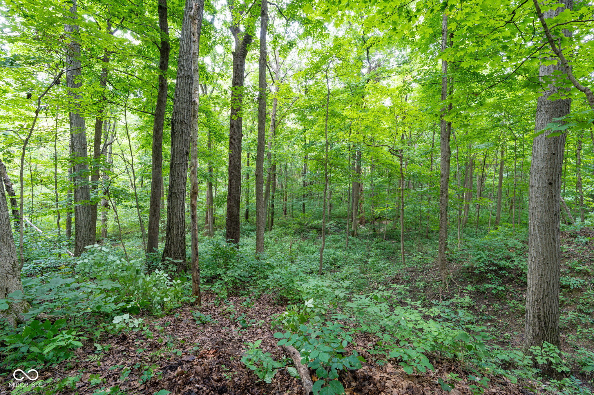 6631 Lee Road Indianapolis, IN 46236 - Photo 8 of 37